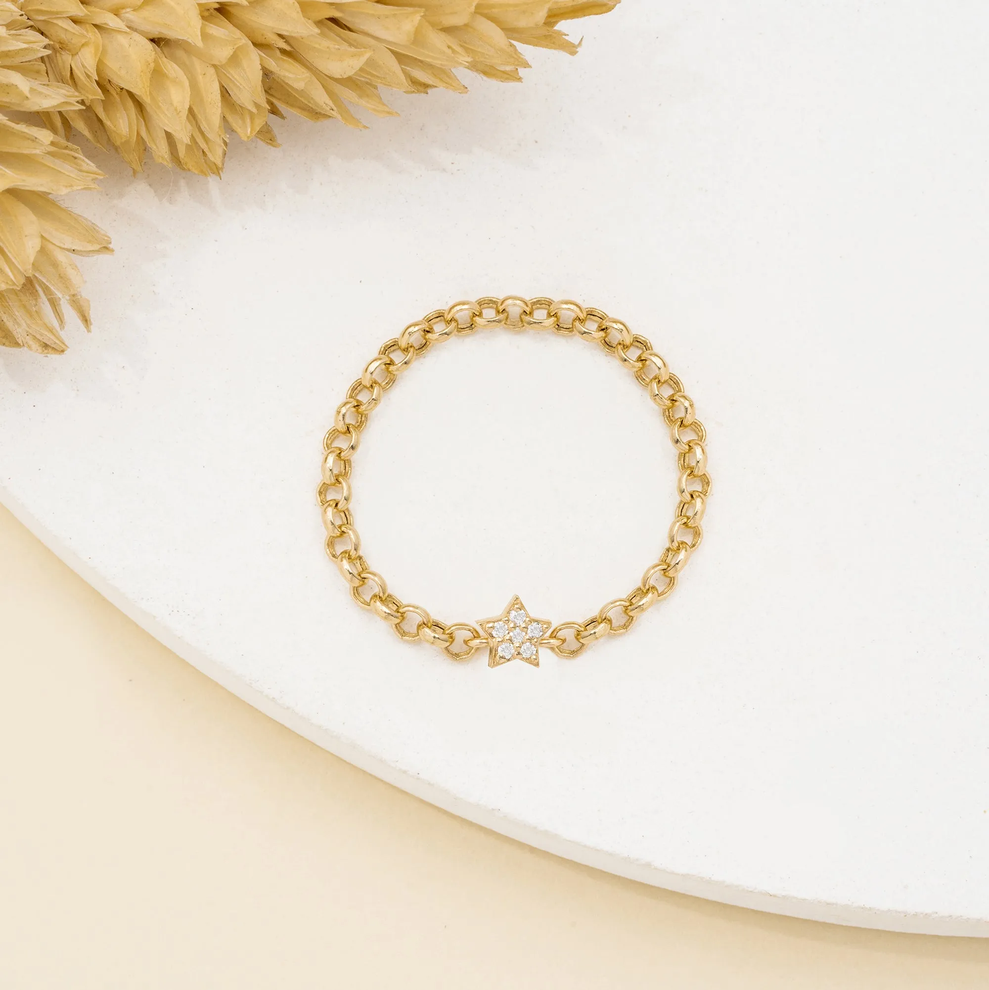 14k Diamond Star Chain Ring, Vega