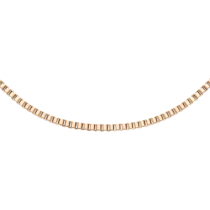 Box Chain Necklace RG
