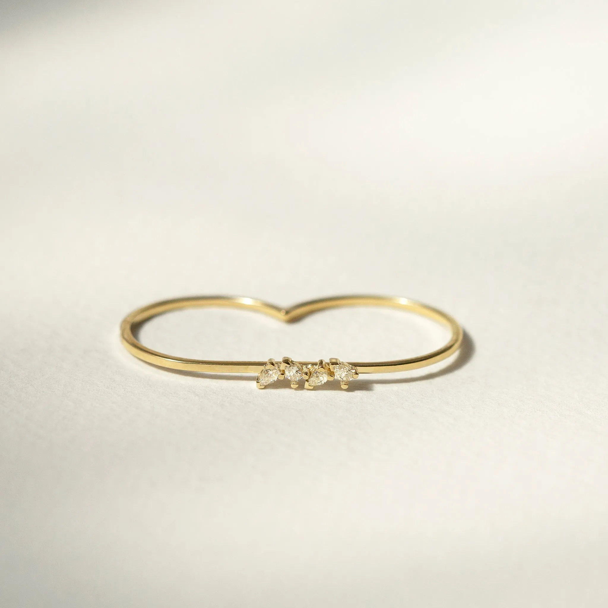 Petite Cluster Linear Double Ring